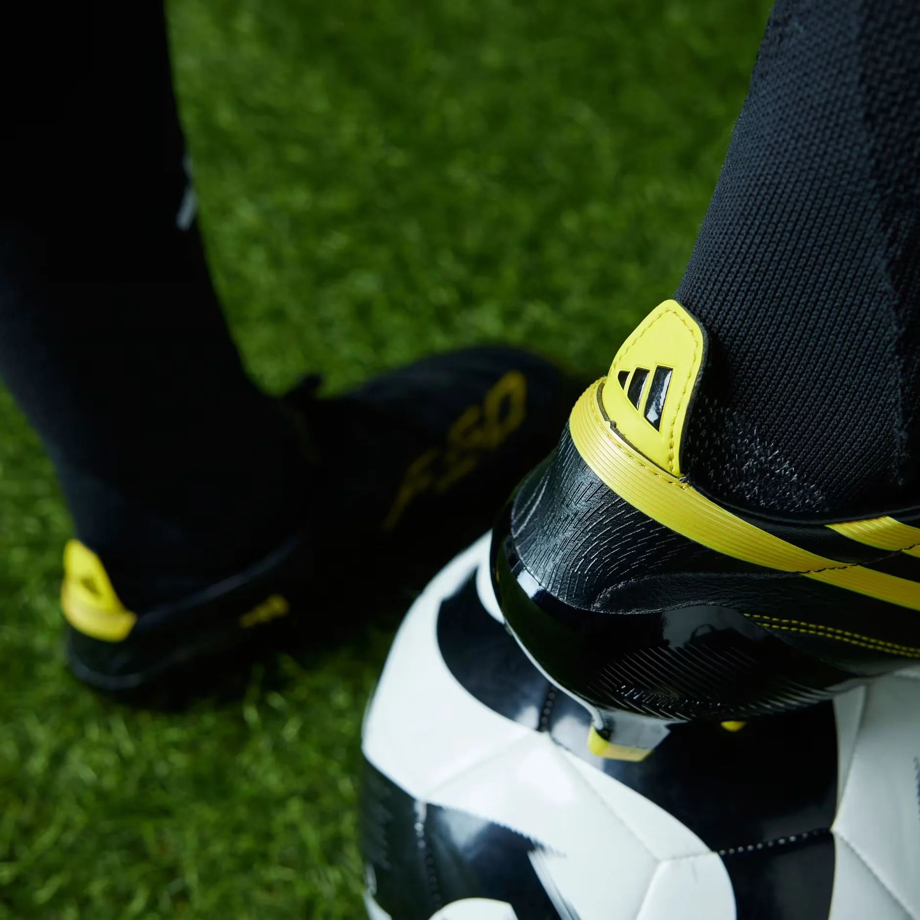 F50 ELITE LEATHER FG 2010 EDITION - Image 10