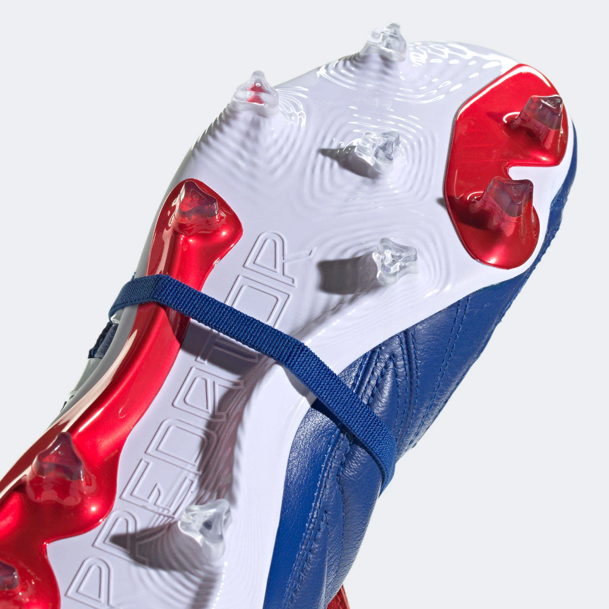 PREDATOR MANIA - Image 9